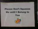 dsc00203.thumbnail.JPG
