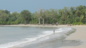 Beach looking south towards Taylor Point, Kewarra Beach, 2018
